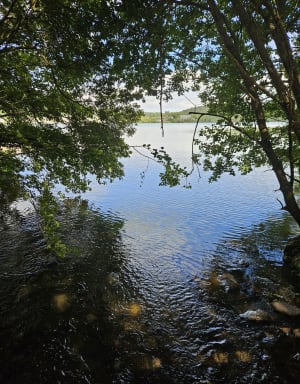 Lac Chambon et mise en beauté de la nature - Murol - 5