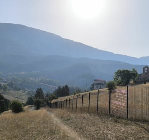 Les deux Saints - Saint-André-les-Alpes - 3
