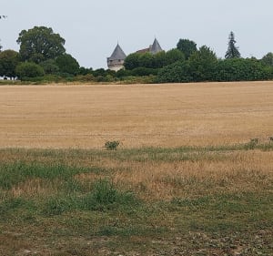 Au cœur de la forêt près de Lac Ladoux - Antonne-et-Trigonant - 2