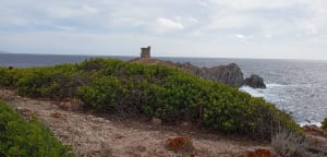 Boucle de la Punta d'Omigna - Cargèse - 5
