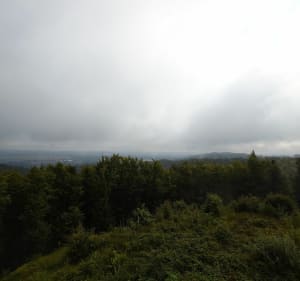 Leśna ścieżka z sową Wokół Rezerwatu - Bożepole Małe - 2