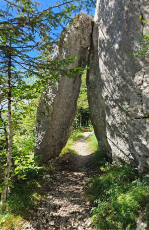 Découverte de la plaine d'Herbouilly et secrets du Vercors - Saint-Martin-en-Vercors - 5