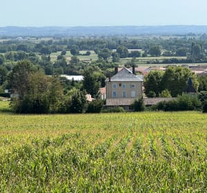 Autour d’un village du Beaujolais : Lucenay - Lucenay - 2