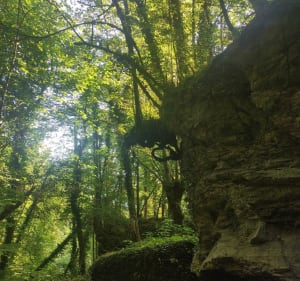 La grotte du loup à Miribel-les-Échelles - Miribel-les-Échelles - 2