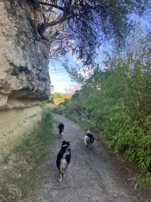 Le Pouget : excursion chargée d'histoires fortes - Clémence - 8