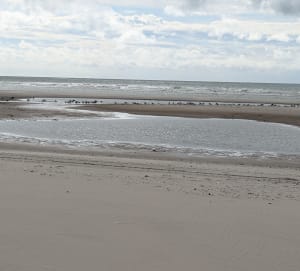 La baie de fort mahon - Marguerite - 6