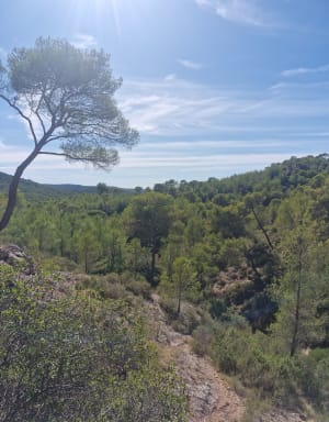 Barrage Zola et vue sur la Sainte Victoire. - Beaurecueil - 11