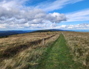 Ascension de l'Hohneck et escapade dans les Vosges - Xonrupt-Longemer - 3