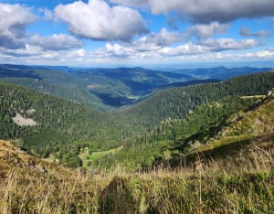 Ascension de l'Hohneck et escapade dans les Vosges - Xonrupt-Longemer - 5