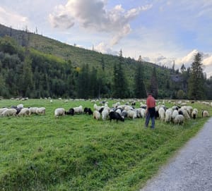Czerwone Wierchy – prosta, ale długa i widokowa trasa - Kościelisko - 5