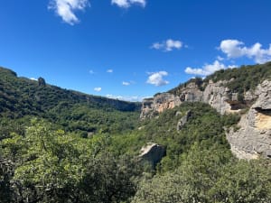 Balade, Vallon de l’Aiguebrun - Buoux - 11