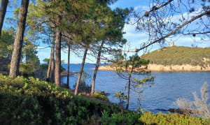 Sentier du littoral Capu di Fiora - Zonza - 6