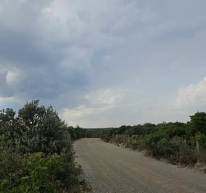 Tour VTT - 20 km à Nîmes - Nîmes - 4