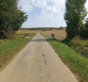 Petite balade campagnarde autour de Seyches - Seyches - 3