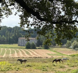 Aller retour de Mérignas à Blasimon - Mérignas - 3