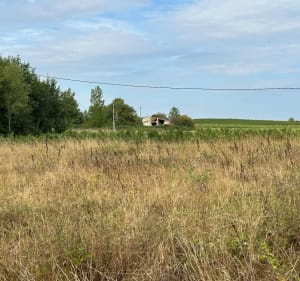 Aller retour de Mérignas à Blasimon - Mérignas - 4