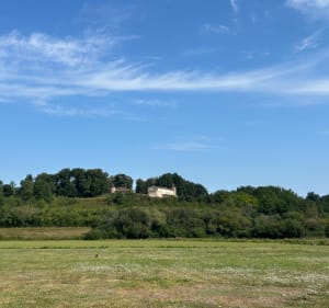 Aller retour de Mérignas à Blasimon - Mérignas - 5