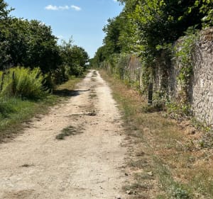 Balade Montlouisienne autour du château de la bourdaisière - Montlouis-sur-Loire - 4