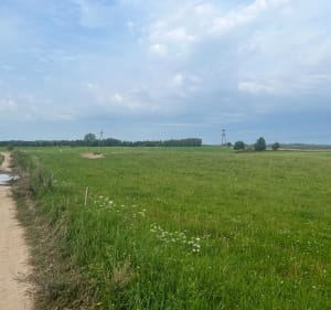 Mazury tam i nazad - Grądzkie - 2