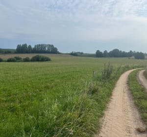 Mazury tam i nazad - Grądzkie - 3