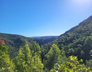 Le cirque de l'Infernet par la boucle des Fenestrettes - Saint-Guilhem-le-Désert - 21