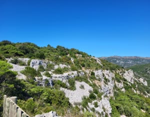 Le cirque de l'Infernet par la boucle des Fenestrettes - Saint-Guilhem-le-Désert - 19