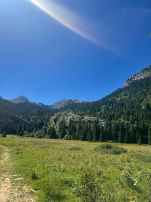 Sur les hauteurs de Villard-de-Lans et le GR® 91 - Villard-de-Lans - 6