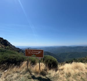 La Croix de Bauzon et vue sur l’Ardèche méridionale. - Borne - 2