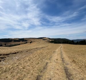 La Croix de Bauzon et vue sur l’Ardèche méridionale. - Borne - 4