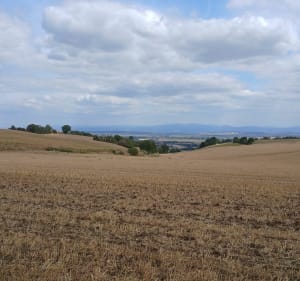 Sur les hauts de Glénat et Chaptuzat - Marine - 3