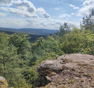 Montée au Englishberg - Wimmenau - 2
