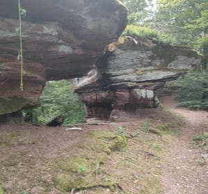 Montée au Englishberg - Wimmenau - 3