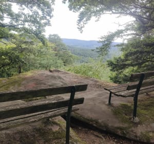 Montée au Englishberg - Wimmenau - 4