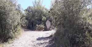 Le Mont Cuit depuis Le Val (83) - Le Val - 4