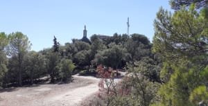 Le Mont Cuit depuis Le Val (83) - Le Val - 2