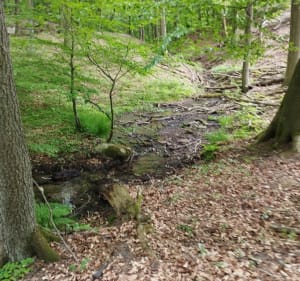 Wokół Lubniewic - Lubniewice - 2