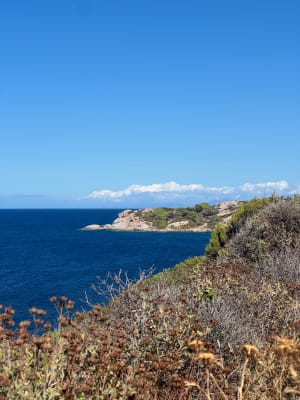 Pointe de la Revellata - Calvi - 9