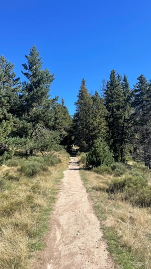 Coll del Pam depuis Fameils - louise - 10