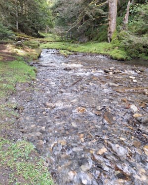 Les cascades de Garet - Campan - 6