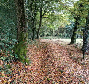 Sur les hauteurs de Montbouton - Montbouton - 2