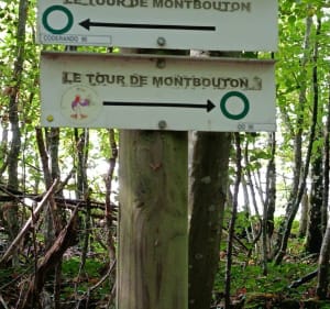 Sur les hauteurs de Montbouton - Montbouton - 5