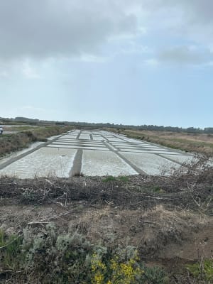 Entre dunes et marais sur l'île de Noirmoutier - L'Épine - 5