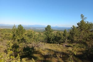 Boucle depuis les Mourres de Forcalquier. - jean francois - 4
