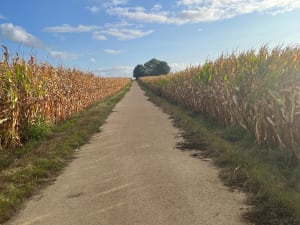 Boucle à Élancourt - Élancourt - 8