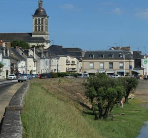 Entre Loire, Anthony et vignes - STEPHANE - 2
