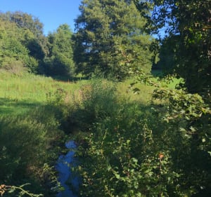 Tour à Kebach - Behren-lès-Forbach - 3