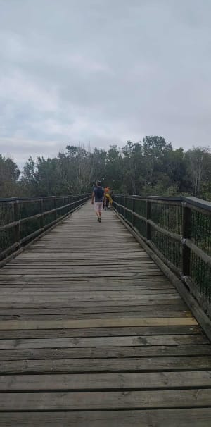 Petit parcours en réserve naturelle de Rosas - Empuriabrava - 6