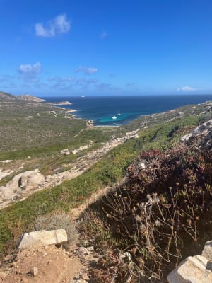 De Calvi à La Revellata - Calvi - 14