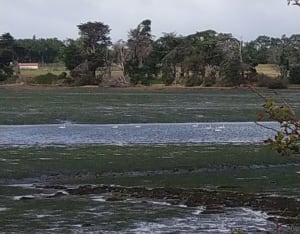 Pointe du Ruault presqu'île de Rhuys - Sarzeau - 7