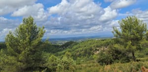 Canyon provençal et bain de nature à Simiane-Collongue - Simiane-Collongue - 5